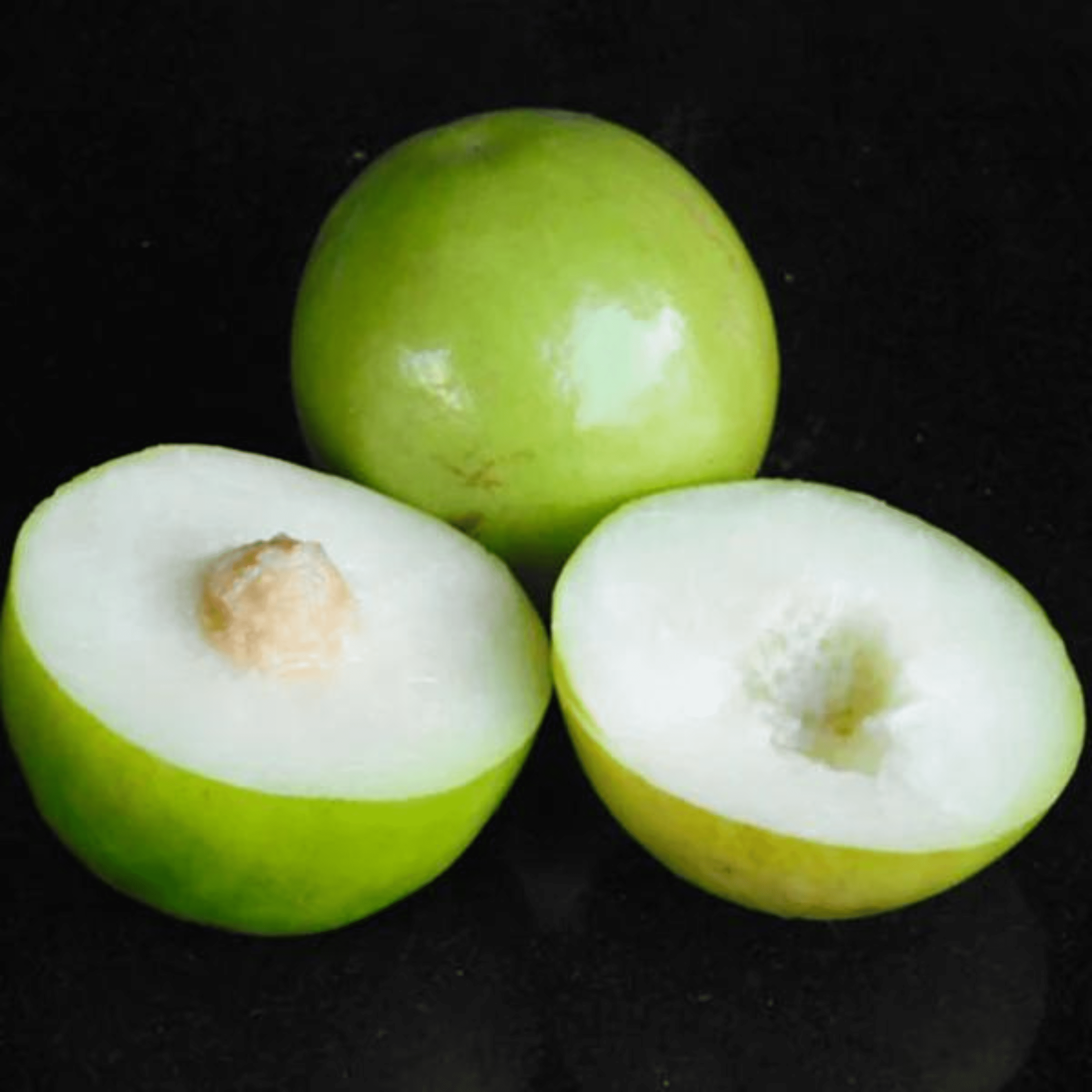 Ber Apple Green Live Plant (Ziziphus Mauritiana)