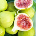 Desi Fig (Aththi) Live Plant
