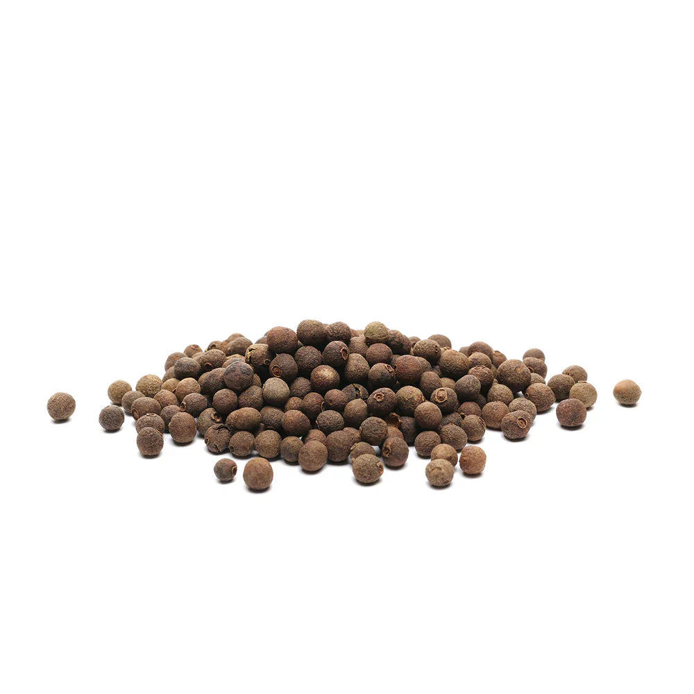 All Spice / Sarvasugandhi (Pimenta dioica) Spice Plant