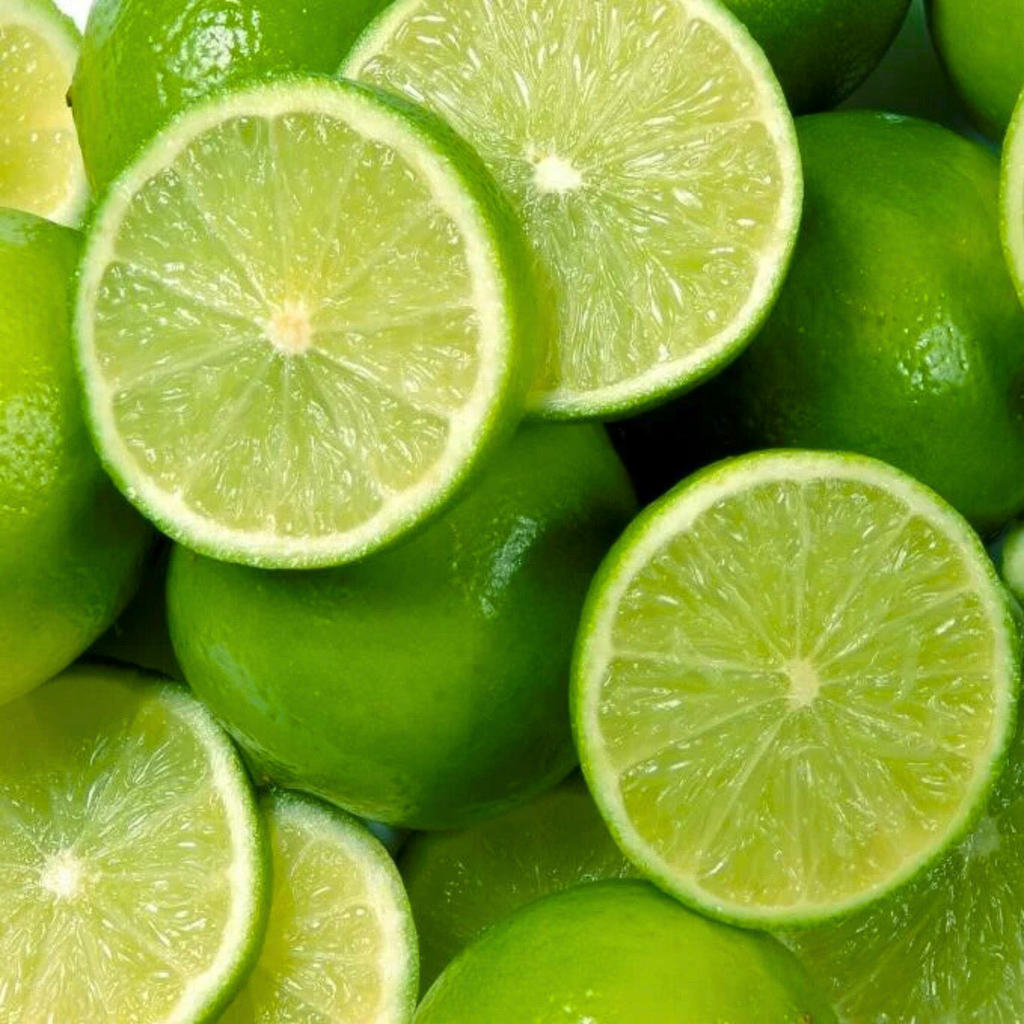 Seedless Lemon (Citrus Lemon) Fruit Live Plant