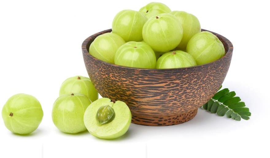 Indian Gooseberry Grafted Live Plant (Phyllanthus emblica)