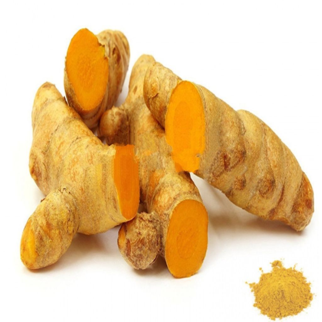 OhhSome Curcuma / Kasthuri Arishina / Kasthuri Manjal Live Plant